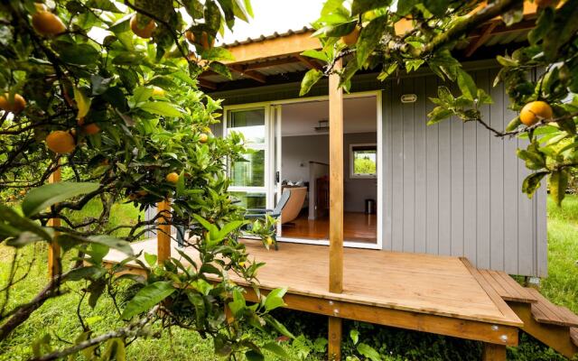 Kerikeri Farm Hostel