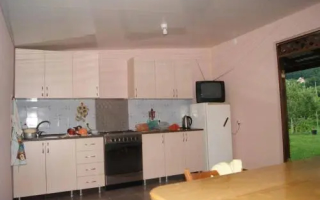 Guesthouse Gornyy Vozdukh