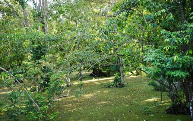 Dreamcatcher Eco Lodge - Adults Only