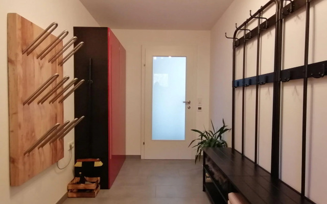 Cosy Apartment in Dienten with mountain view