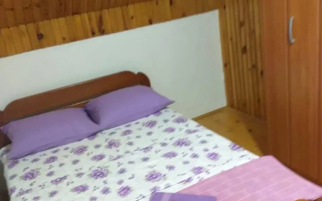 Remarkable 3-bed House in Zabljak