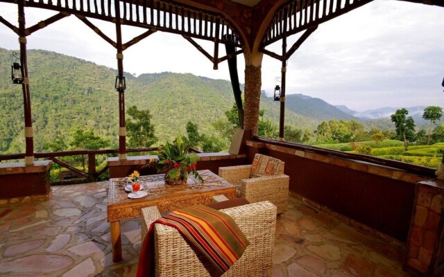 Silverback Lodge