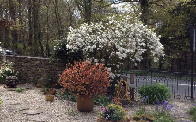 Clayhill House Bed & Breakfast