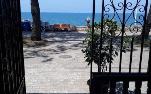 Liliana Guest House