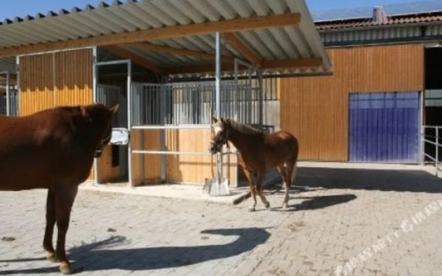 Reitanlage Hartsfeldhof