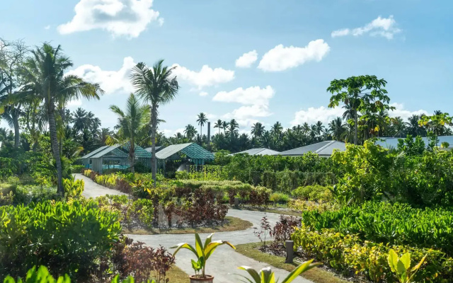 Waldorf Astoria Seychelles Platte Island