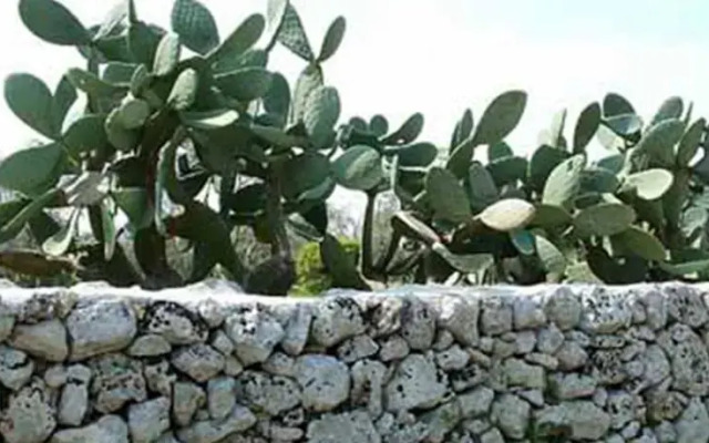 Vacanze in Puglia