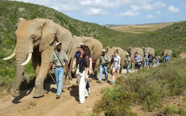 Indalu Game Reserve