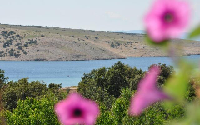 Bela - sea view - SA3(2)