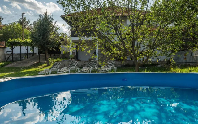 Guest House Intrigue