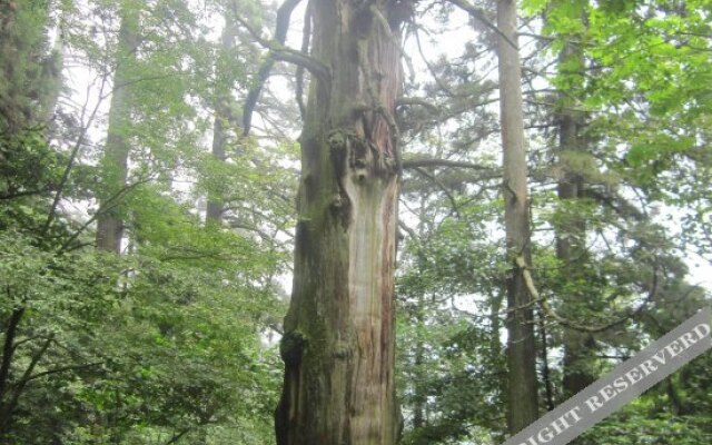 Tianxia Yijia Farmhouse