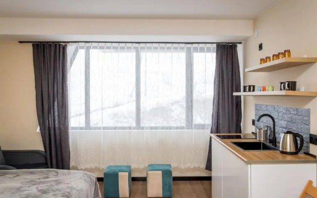 Brilliant Ski Resort Apartment in Marshal Gudauri