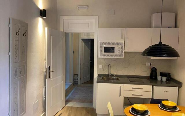 APARTAMENTOS SANTA CRUZ, centro