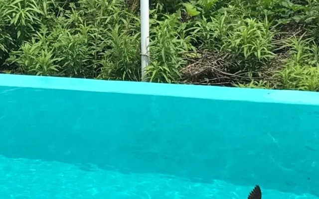jeju 2JJ