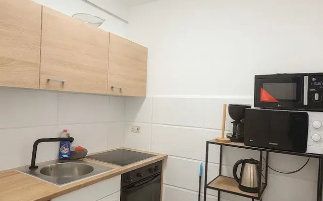 Cozy 1BR Apt with Lounge Central Vienna