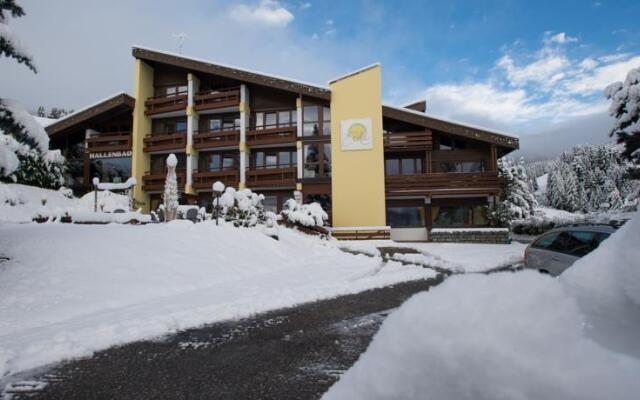 Hotel Erika