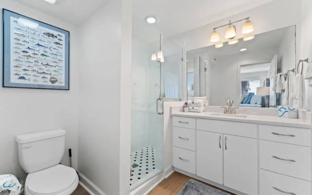 Needle Rush Point D11