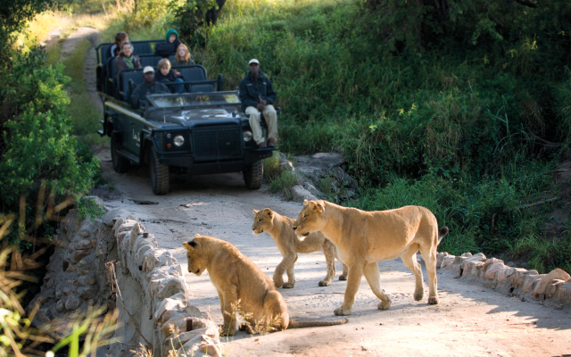 Lion Sands Ivory Lodge