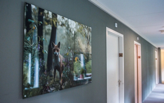 Witte Berken Natuurhotel