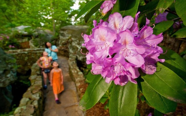 Hampton Inn Ringgold-Ft. Oglethorpe
