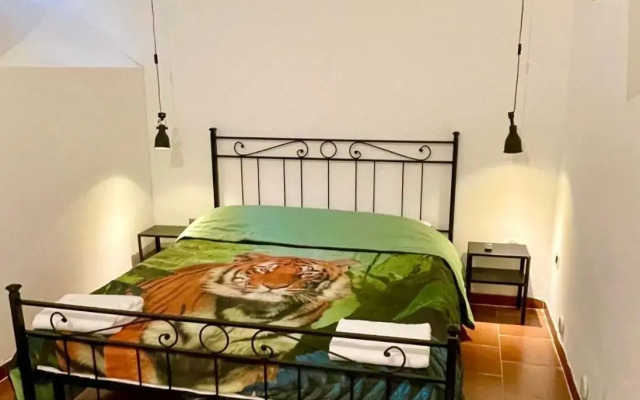 Parisa suite2