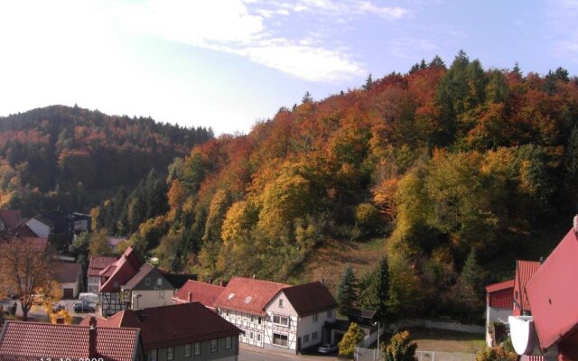 Hotel-Pension Waldhaus