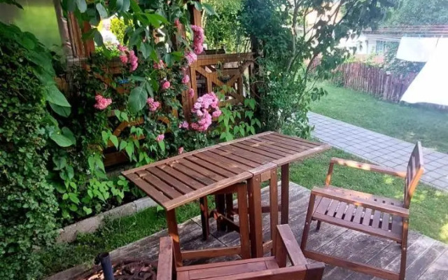 Vėtrungėlė