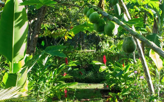 Quinta do Brasil Trancoso