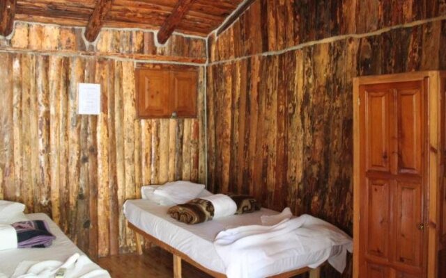 Jungle Bells Hostel