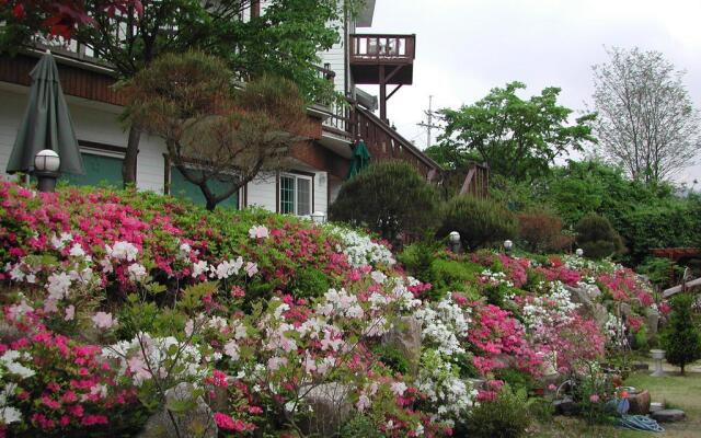 Starvill Pension