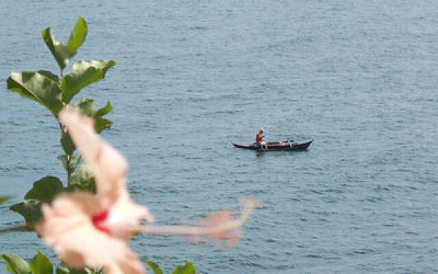 Bohol Lahoy Dive Resort