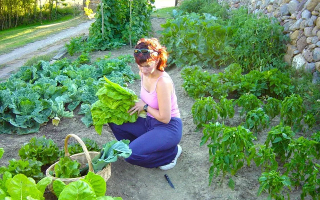 Cal Pesolet Eco Turisme Rural