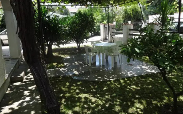 Kiwi Apartments