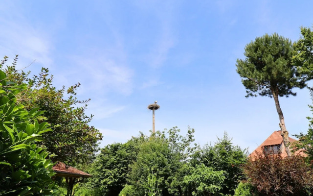 Rustic-style Apartment in Buschenhagen With Garden