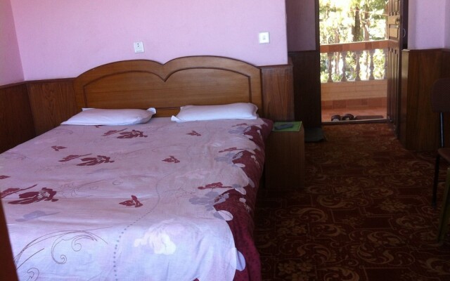 Hotel Mountain Resort
