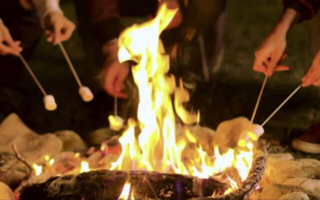 Wood Cabin & 4 Large Bell Tents - Hapus Hideaway