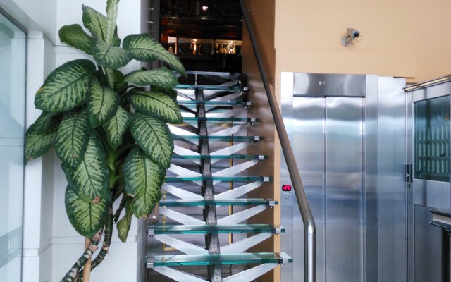 Hotel AyB Internacional
