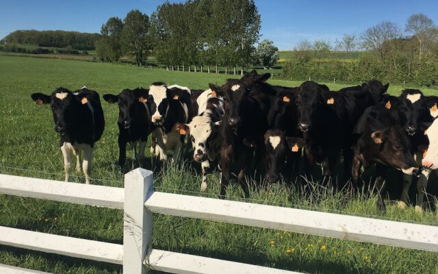 B&B gîte de Saint COME de Fresne