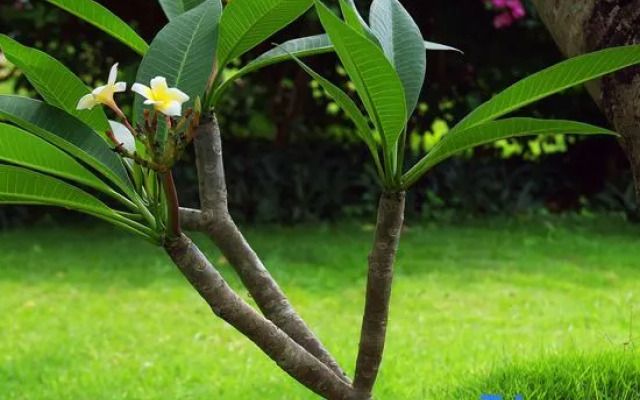 Nanmei Hot Spring Mountain Villa