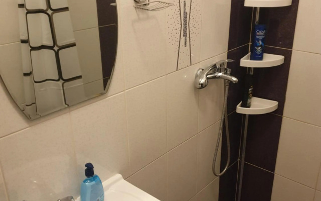 Grozavesti Cozy Apartment