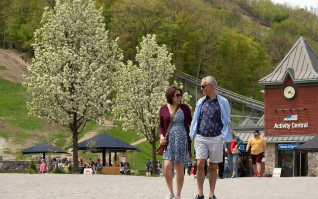 Blue Mountain Resort Mosaic Suites