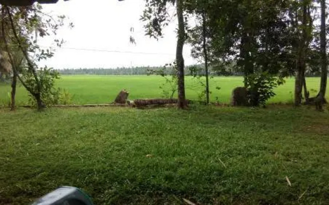 GK`s Riverview Homestay