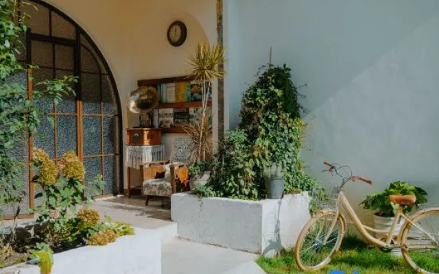 Forest Guesthouse