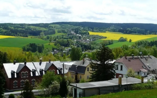 Wohnung in Ellefeld Nahe Skipisten