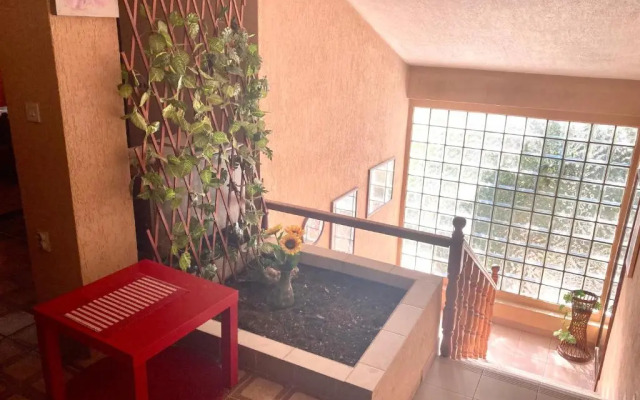 Apartmani Ilić
