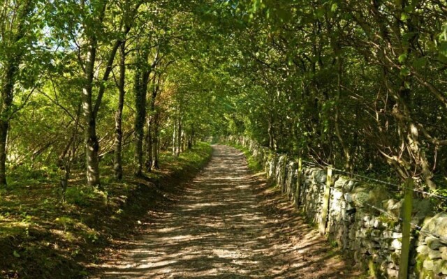 18 'izar' Bell Tent Glamping Anglesey