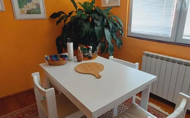 Modern&Cozy Bosnian house with GARDEN+FREE parking