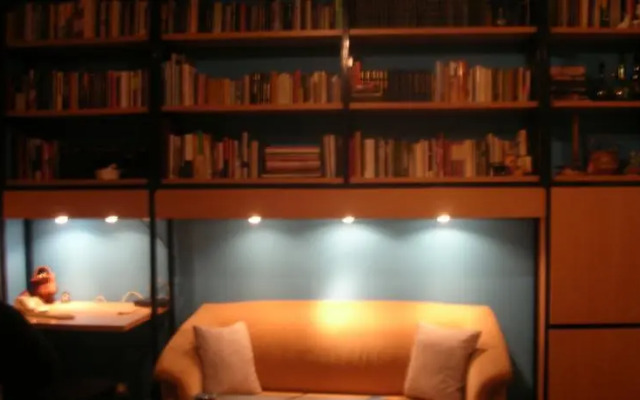 12 Monkeys Studio Apartment