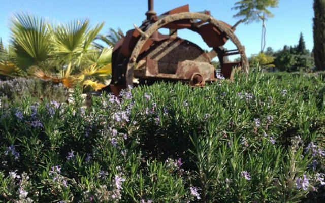 Hotel Rural Molino la Boticaria