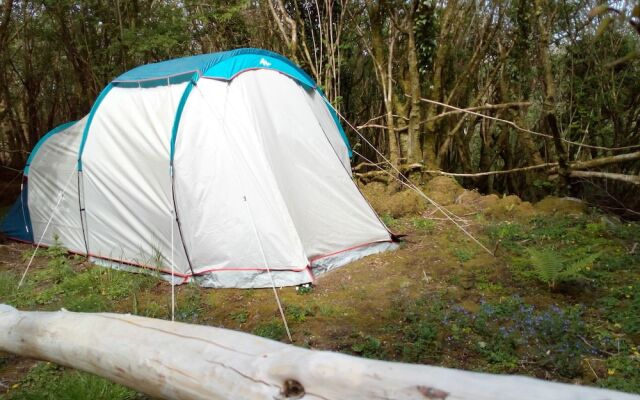 Burren Bushcraft - Camping & Adventures